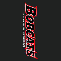 BOBCATS VERT TXT - Youth PosiCharge ® Competitor Hooded Pullover Design