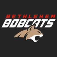 BETHLEHEM CAT - Toddler Core Fleece Pullover Hooded Sweatshirt Design