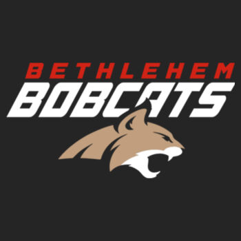 BETHLEHEM CAT - Youth Core Fleece Pullover Hooded Sweatshirt Design