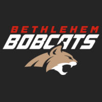 BETHLEHEM CAT - Core Fleece Pullover Hooded Sweatshirt Design