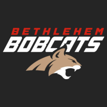 BETHLEHEM CAT - Core Fleece Pullover Hooded Sweatshirt Design